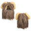Lion Mane Wig for Cats, Funny Photo Prop for Social Media and Holiday Cards