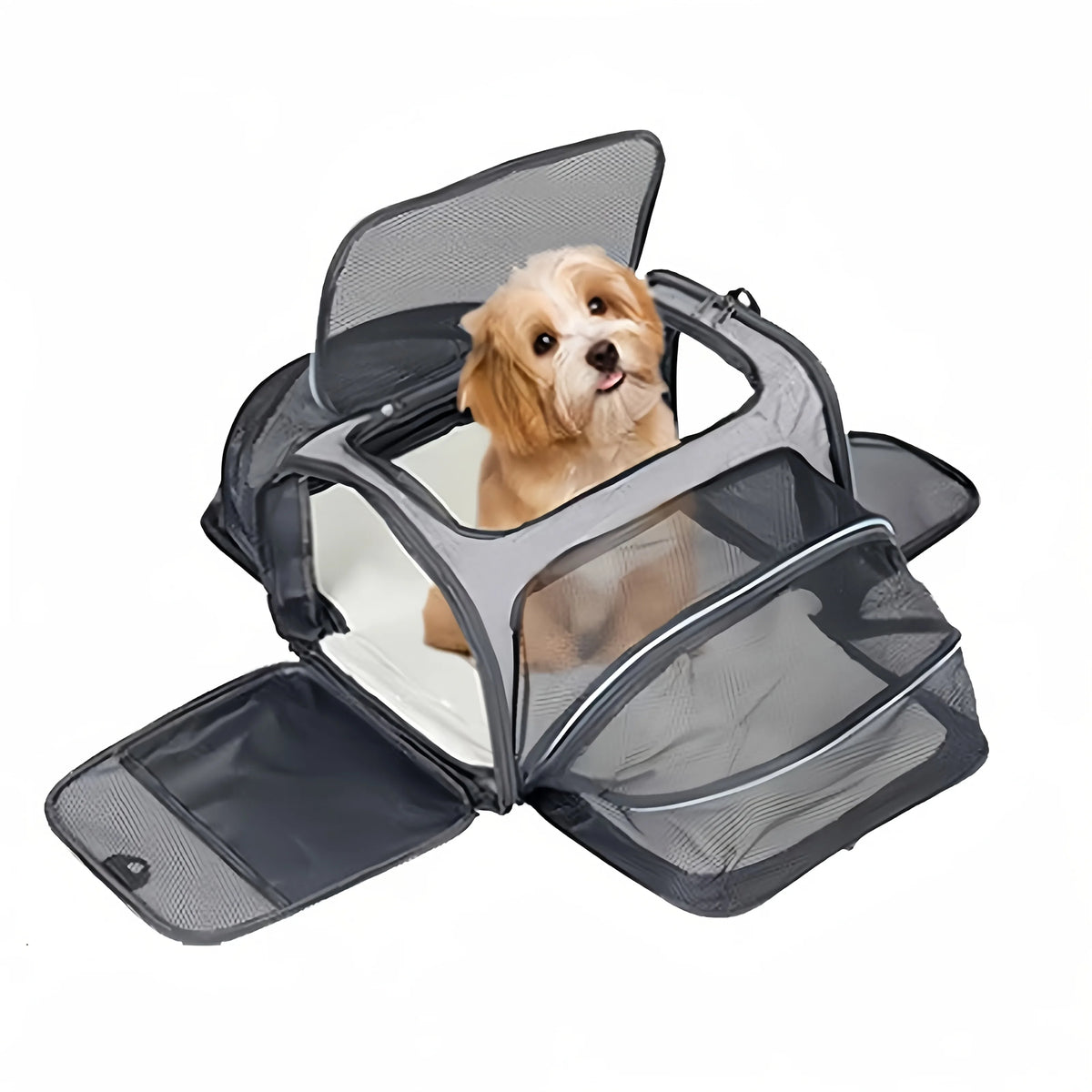 Double Expandable Cat Carrier Bag with Fold-Flat Design, S or L