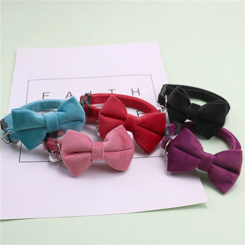Collari per gatti femmine