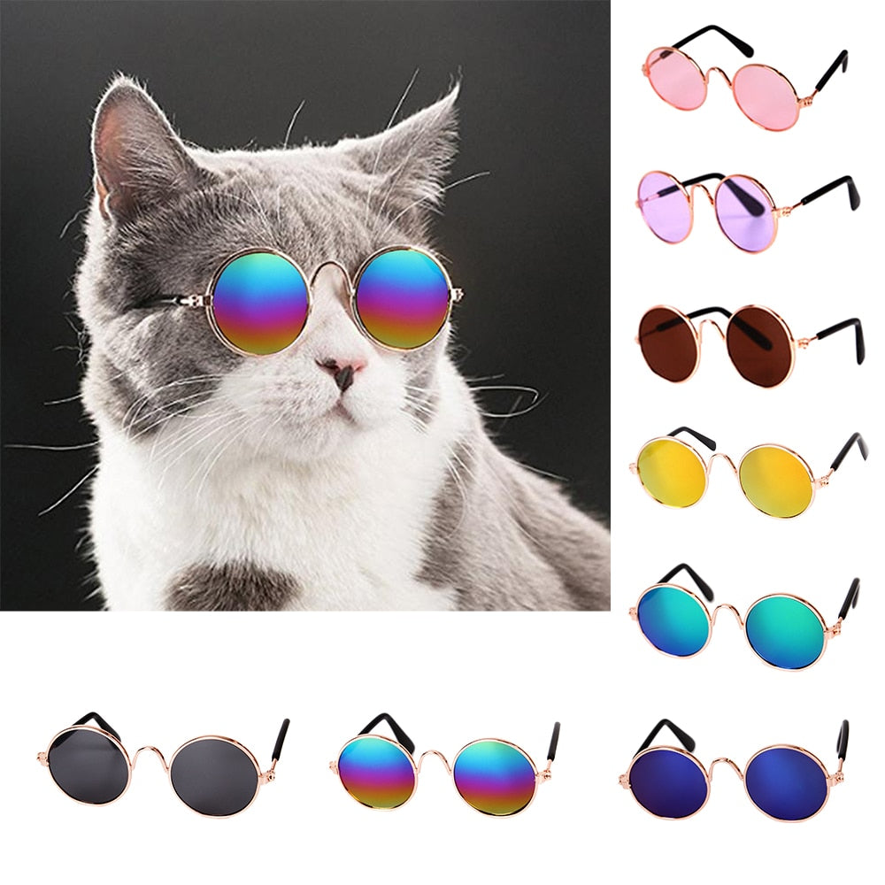 Aviator Cat Glasses