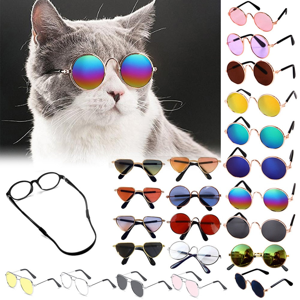 Aviator Cat Glasses