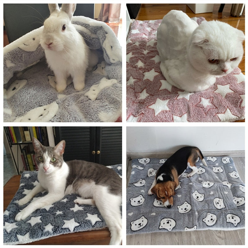 Blanket for Cats - Cat blanket