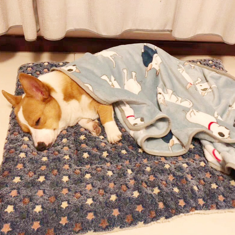Blanket for Cats - Cat blanket