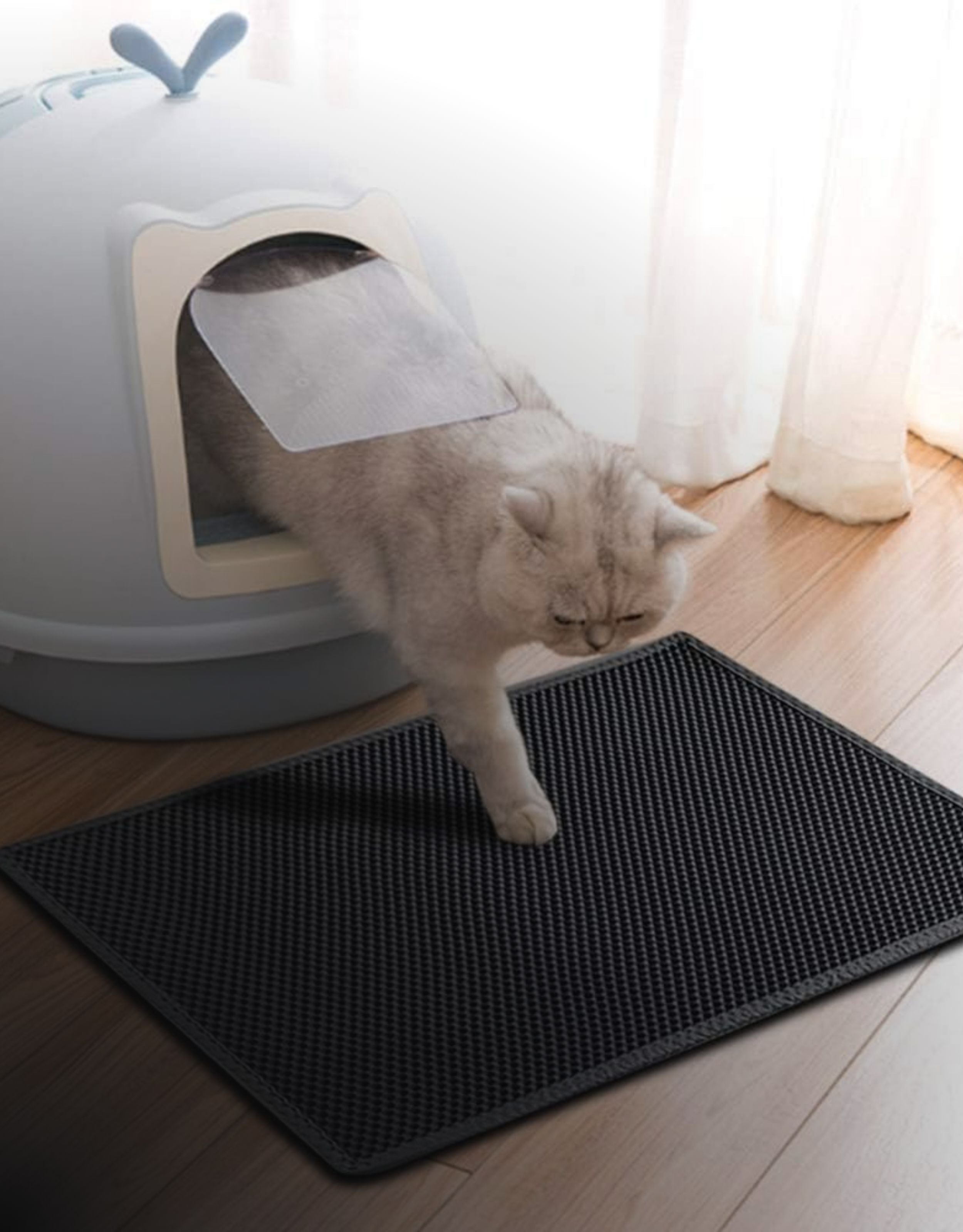 cat-Litter-mats