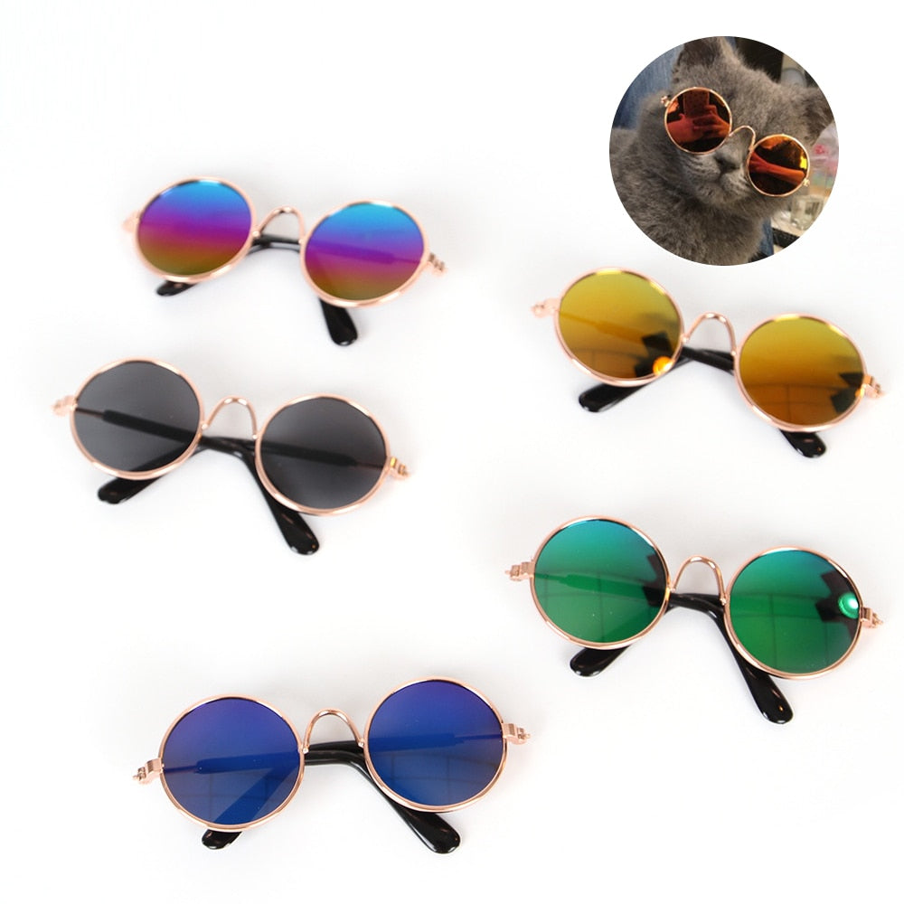Cat Glasses