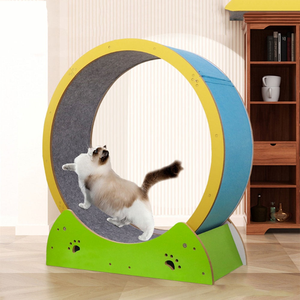 Cat Hamster Wheel
