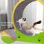 Cat Hamster Wheel