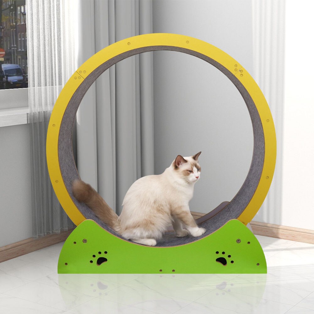 Cat Hamster Wheel