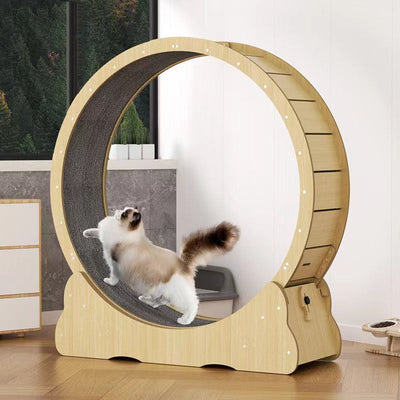 Cat Wheel Exerciser