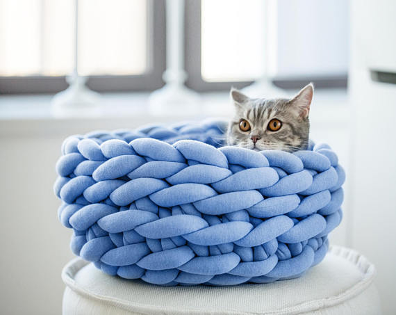 Crochet Cat ed - Blue / 30cm / United States