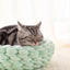Crochet Cat ed