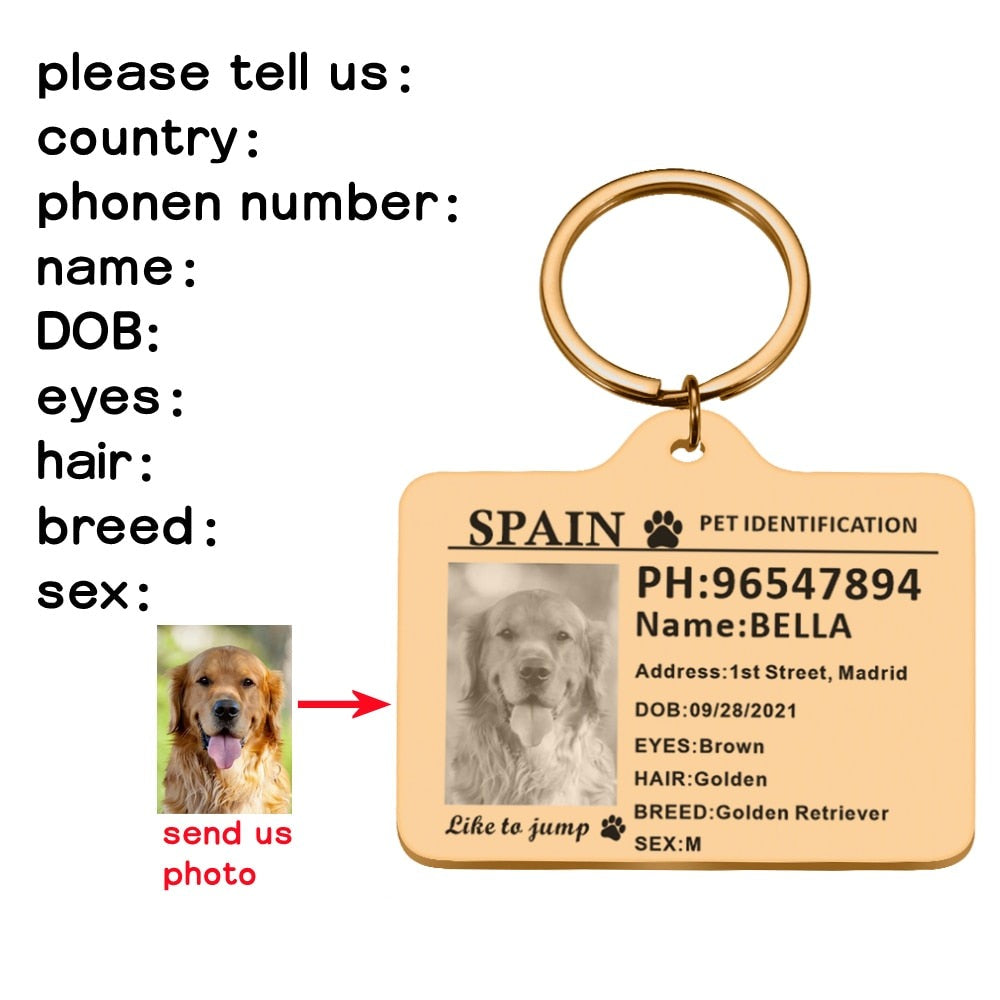 Custom Pet ID Tags - Gold / 30X40mm
