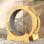 Exercise Wheel for cats