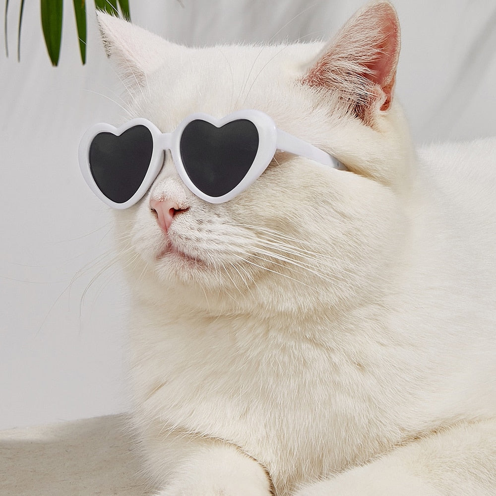 Heart Cat Sunglasses - White
