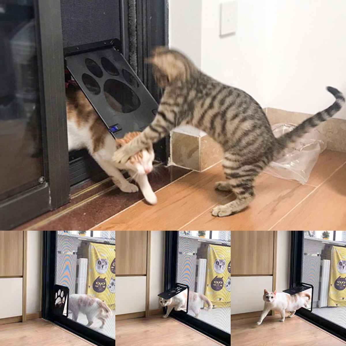 Magnetic Cat Door - Magnetic Cat Door