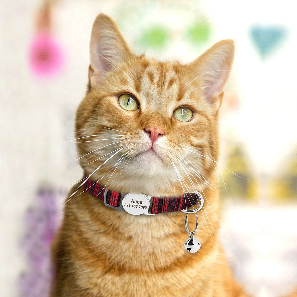 Personalized Cat Collar