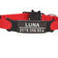 Personalized Cat Collar with Bell - Red