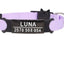 Personalized Cat Collar with Bell - Lavender