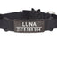 Personalized Cat Collar with Bell - Black
