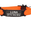 Personalized Cat Collar with Bell - Orange