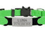 Personalized Cat Collar with Bell - Green