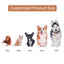 Personalized Cat Pillow