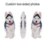 Personalized Cat Pillow
