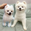 Personalized Cat Pillow - 12cm
