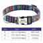 Personalized Embroided Cat Collar - 030 blue / S