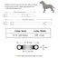 Personalized Reflective Cat Collar