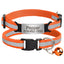 Personalized Reflective Cat Collar - Orange / M