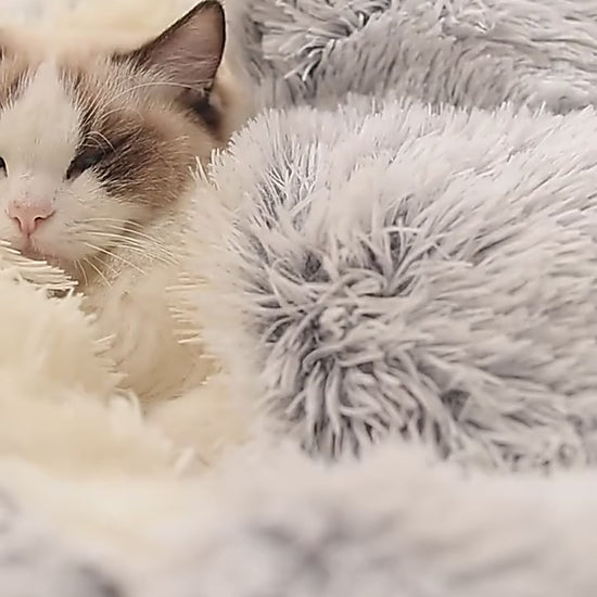 round-cat-bed
