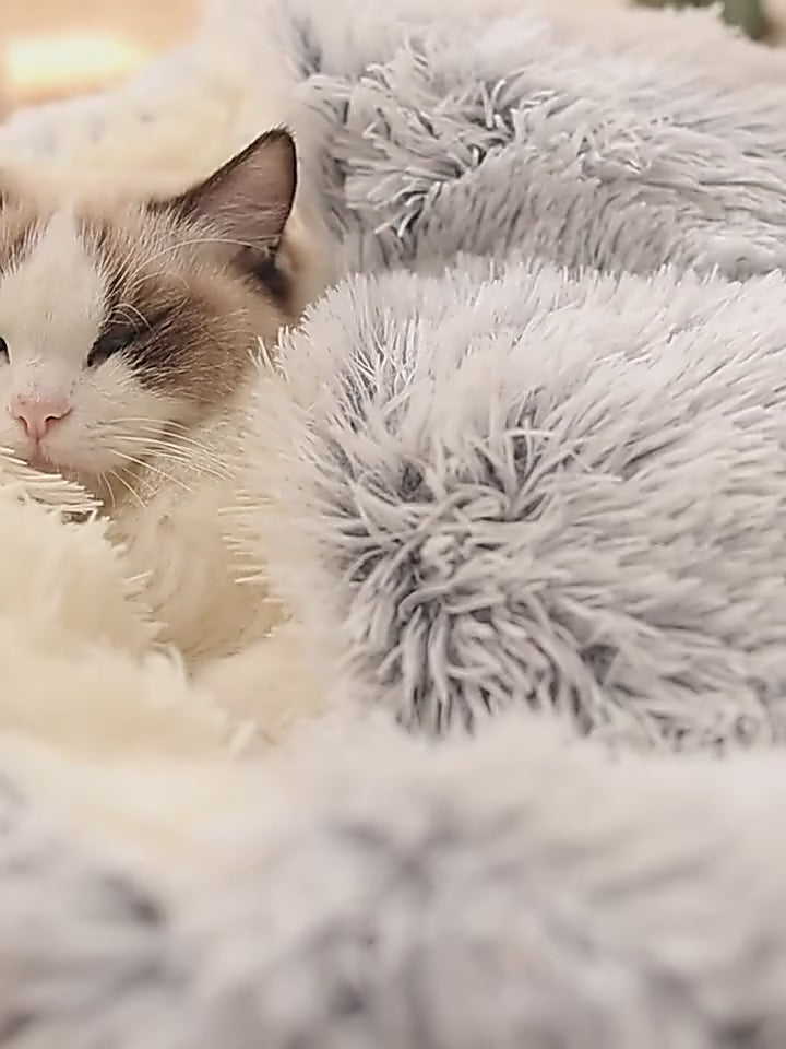 round-cat-bed