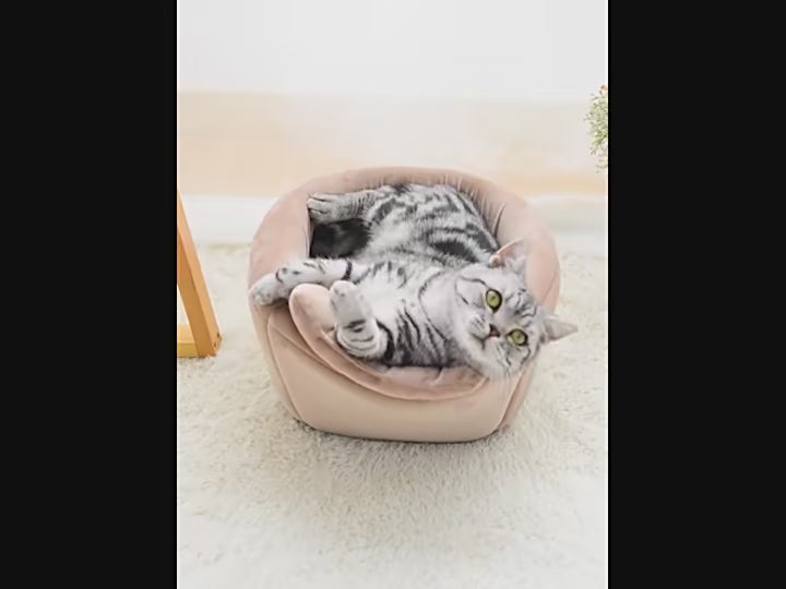aesthetic-cat-bed