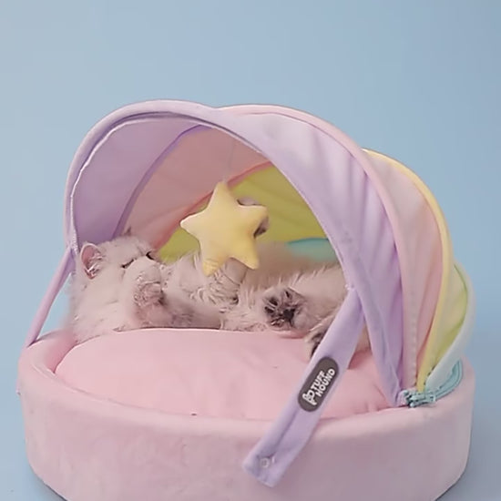 cute-pink-cat-bed