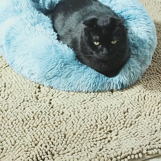 orthopedic-cat-bed