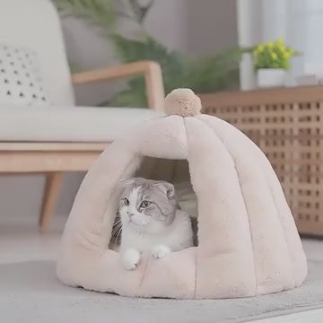 cat-igloo-bed
