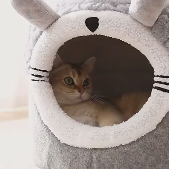 cute-cave-cat-bed