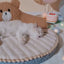 Bear Cat Bed