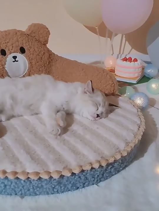 Котешко легло мече