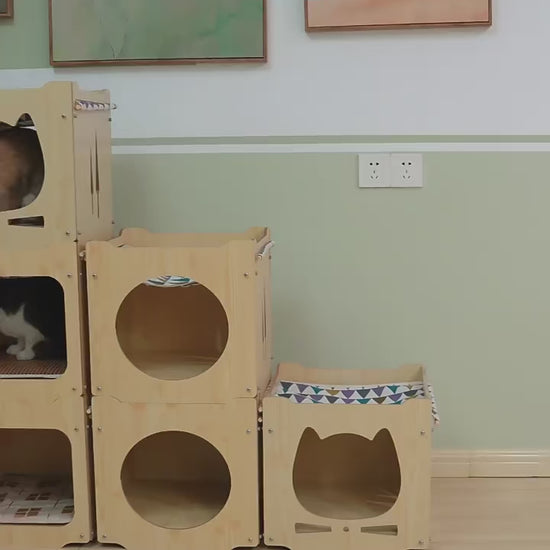 Cat-Desk-Beds