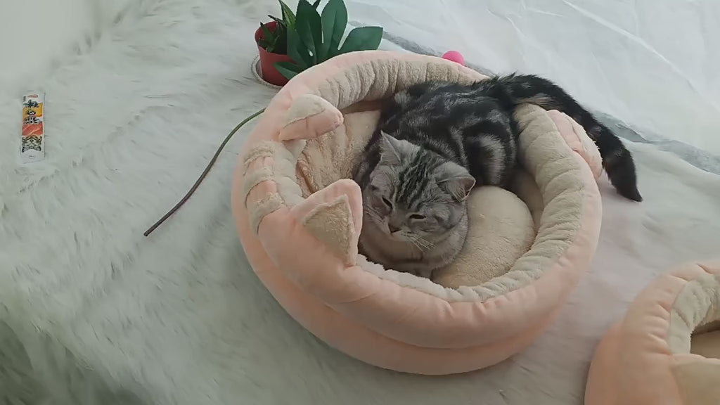 squishmallow-cat-bed