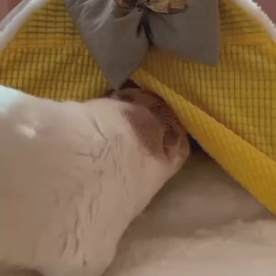 luxurius-cat-bed