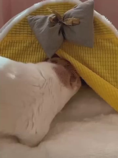 luxurius-cat-bed