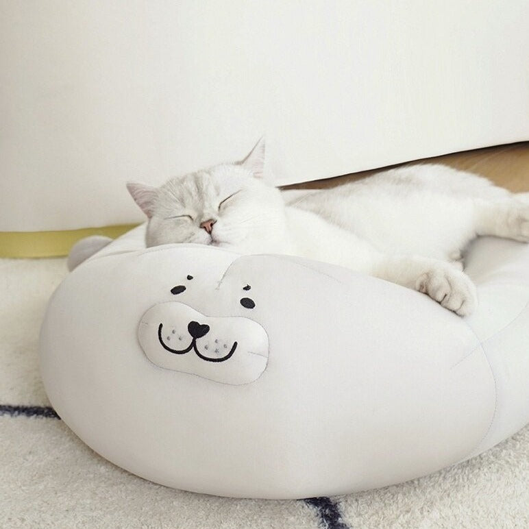 Chewy Cat Beds