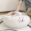 Chewy Cat Beds