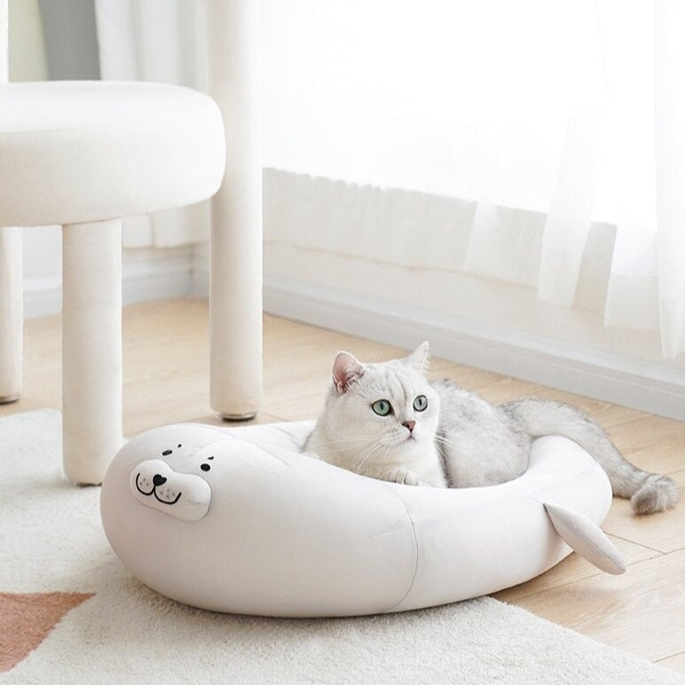Chewy Cat Beds