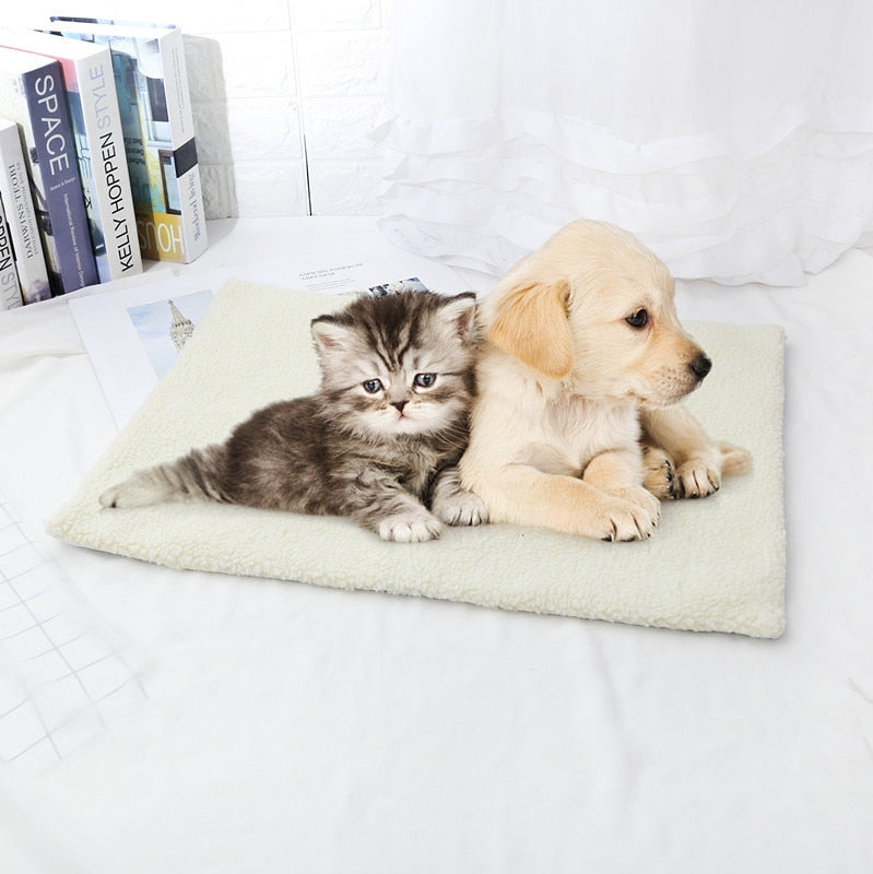 Small cat Blanket - White / 60x45CM - Cat blanket