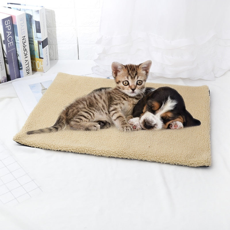 Small cat Blanket - Cat blanket