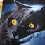 3D Cat Duvet Cover